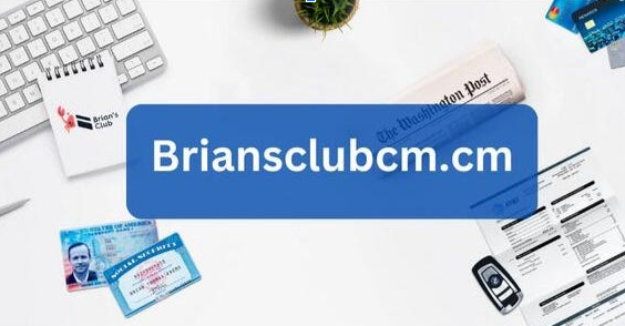 Briansclub: Redefining Finance in the Capital