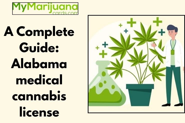 A Complete Guide: Alabama medical cannabis license