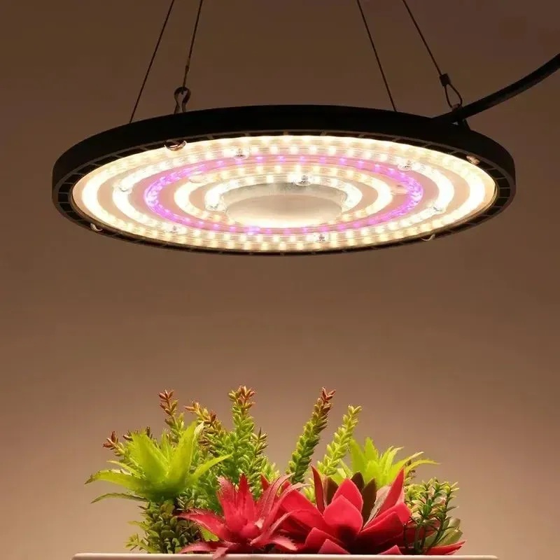 Light That Nurtures Life